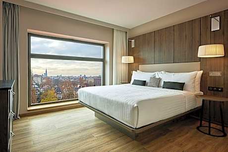 Suite, 1 Bedroom Suite, 1 King, Sofa bed