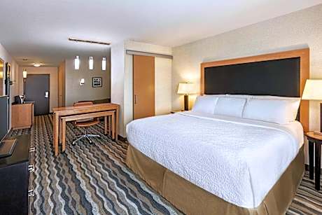 1 King Bed Deluxe Suite Non-Smoking