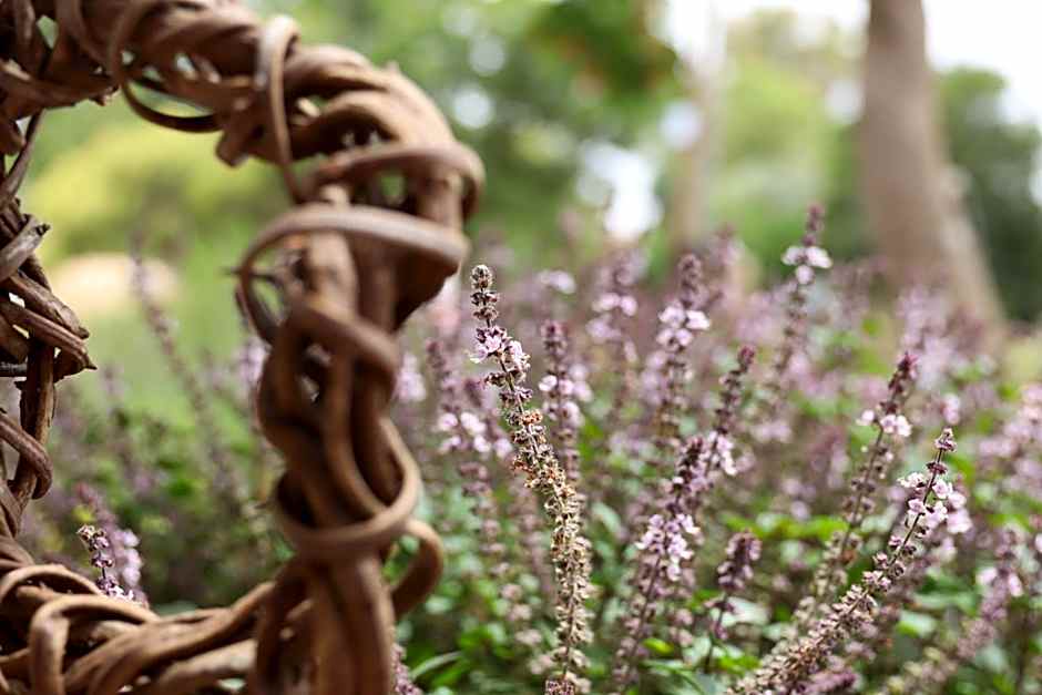 Workation experience in beautiful village