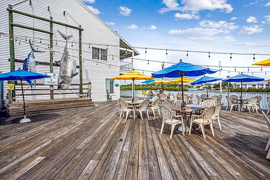 Harbourside 7718- Premier