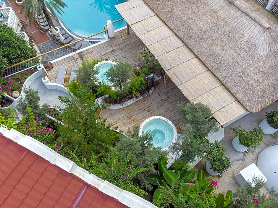 Flamingo Hotel and Spa