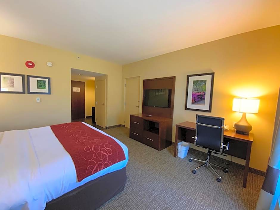 Comfort Suites Fredericksburg