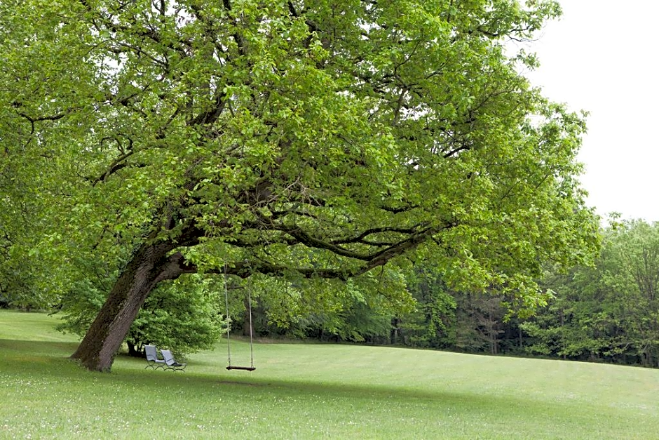 Domaine de la Tortinière