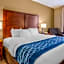 Comfort Inn & Suites Lynchburg Airport - University Area