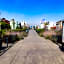 Colmena Monterrey