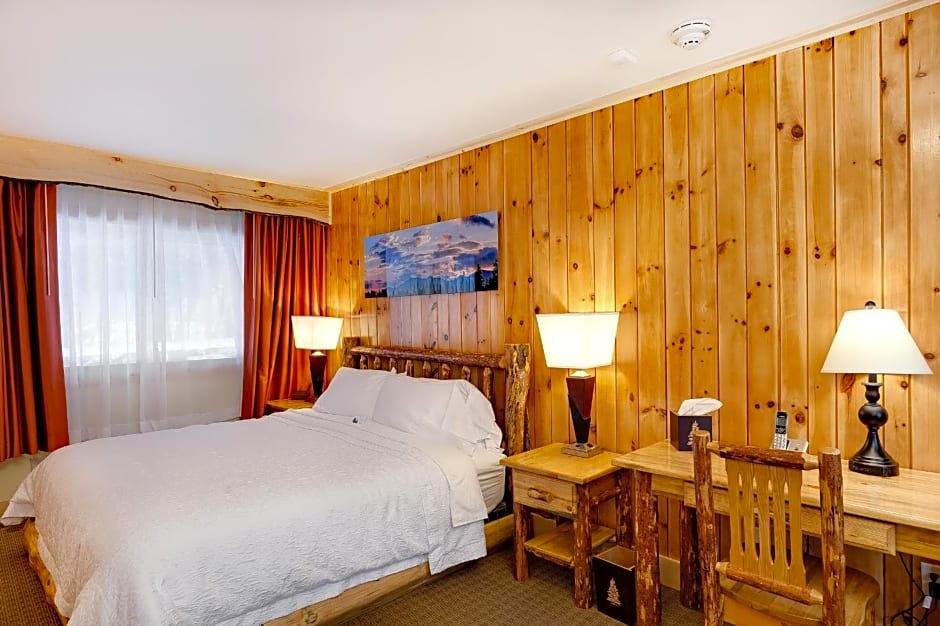Adirondack Spruce Lodge