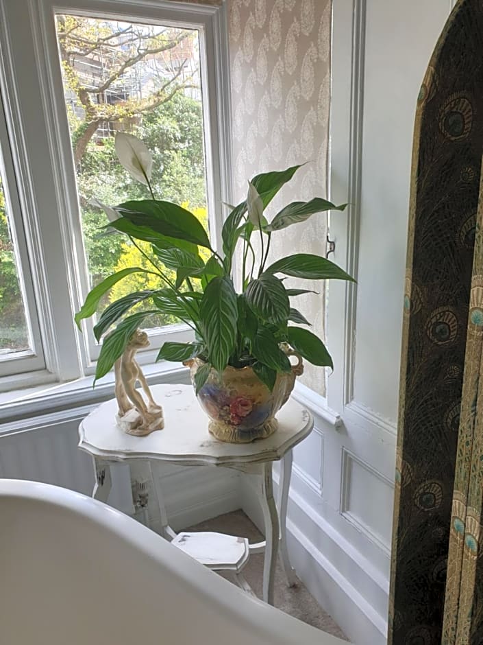 Judy's B&B private home