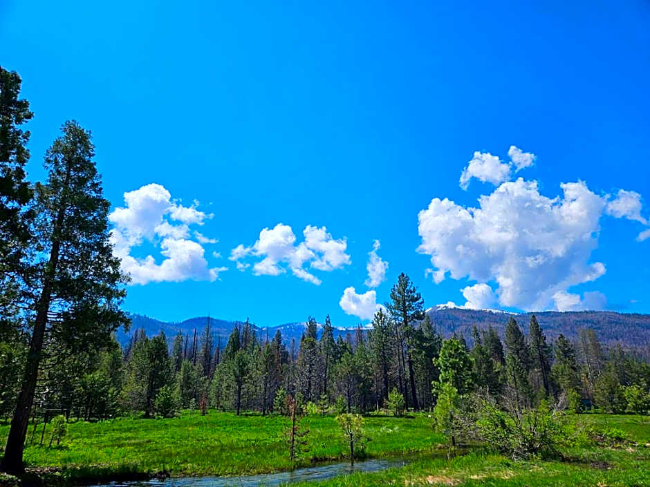 The Black Forest Lodge