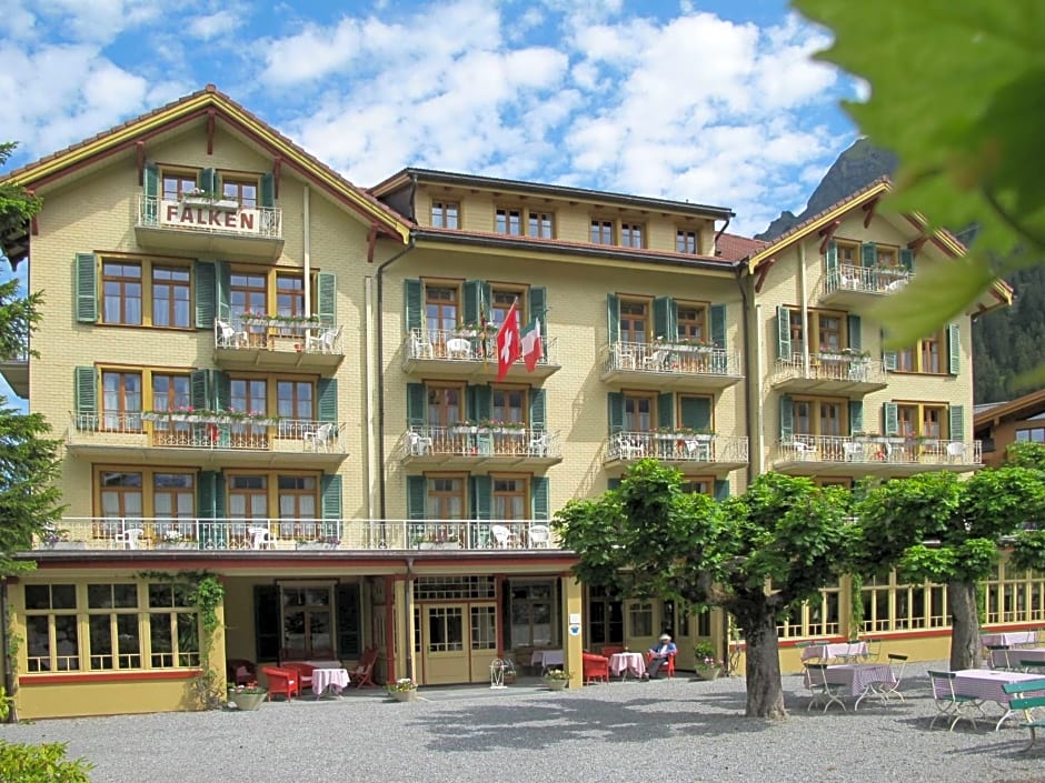 Historic Hotel Falken