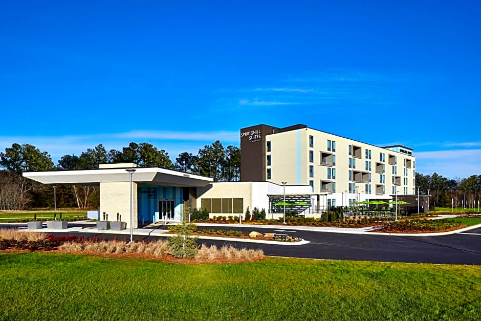 SpringHill Suites by Marriott Charlotte at Carowinds