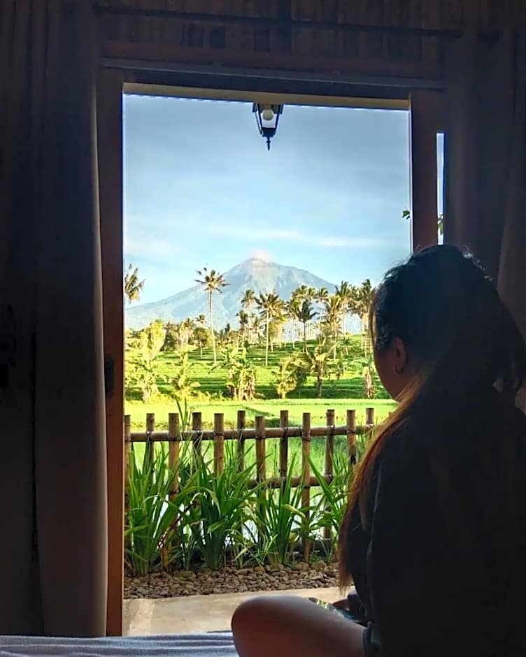 Sawah Ijen