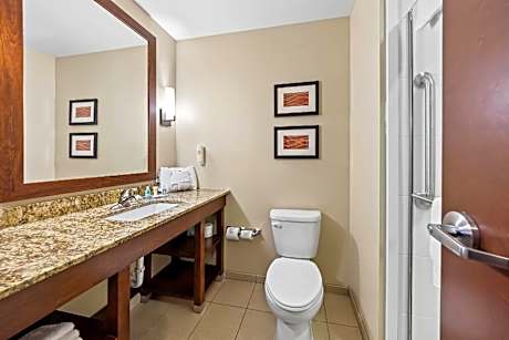 1 King Bed, Suite, Nonsmoking