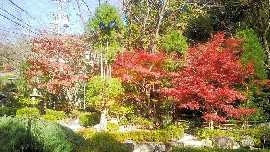 猿投温泉金泉閣