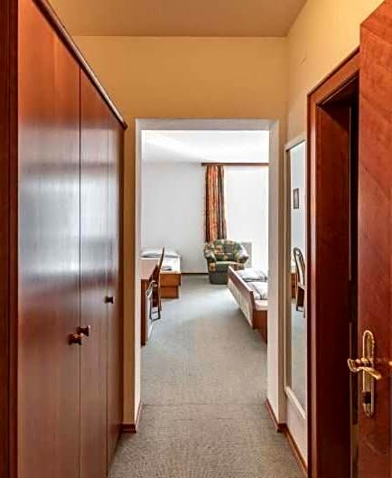 Austria Traveller Hotel Lenzing