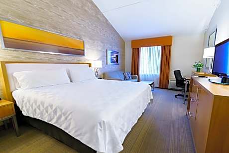 Premium King Room