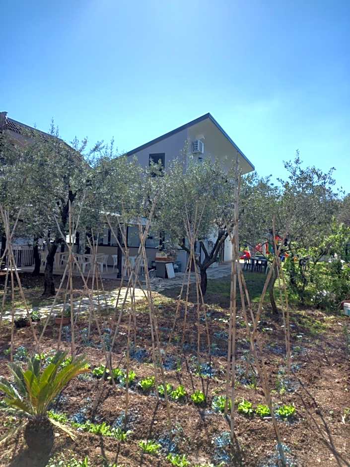 Affittacamere il Tulipano beach Formia