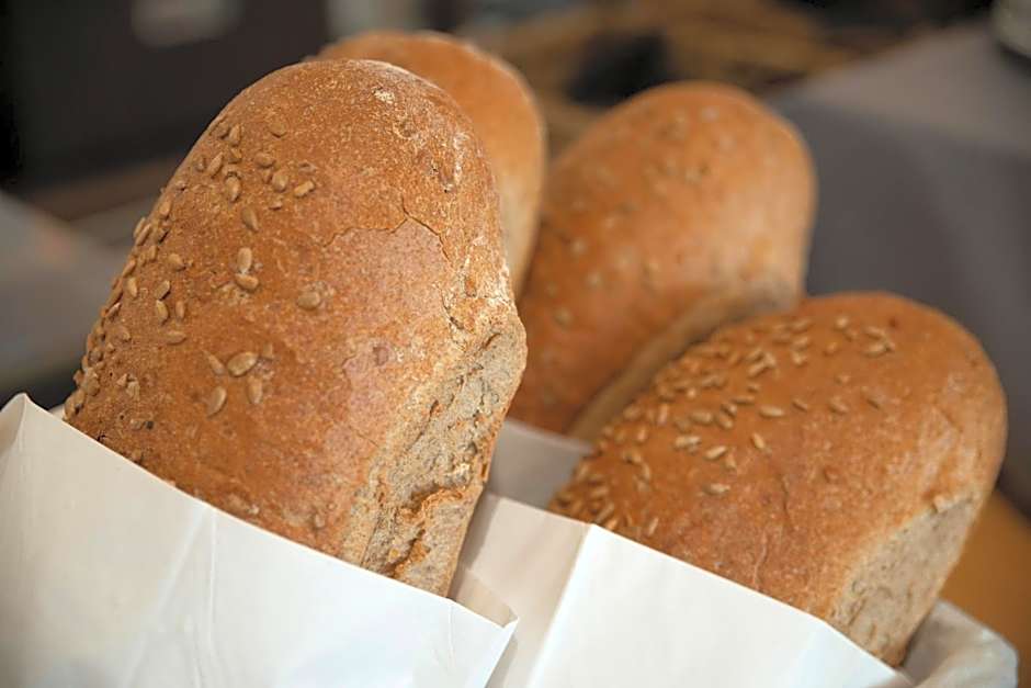 Kongsberg Hostel-Vandrerhjem