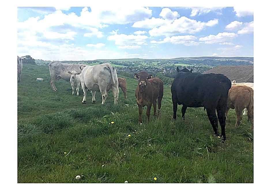 Chevin End Guest House