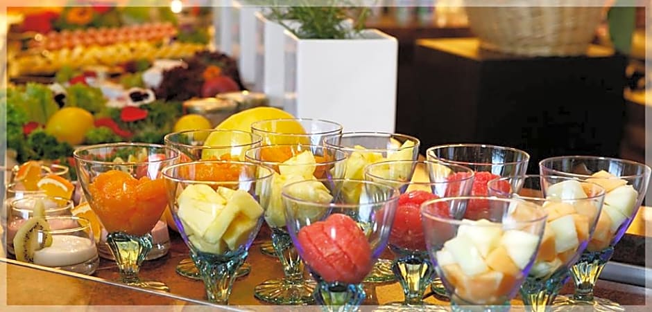 Leoso Hotel Ludwigshafen