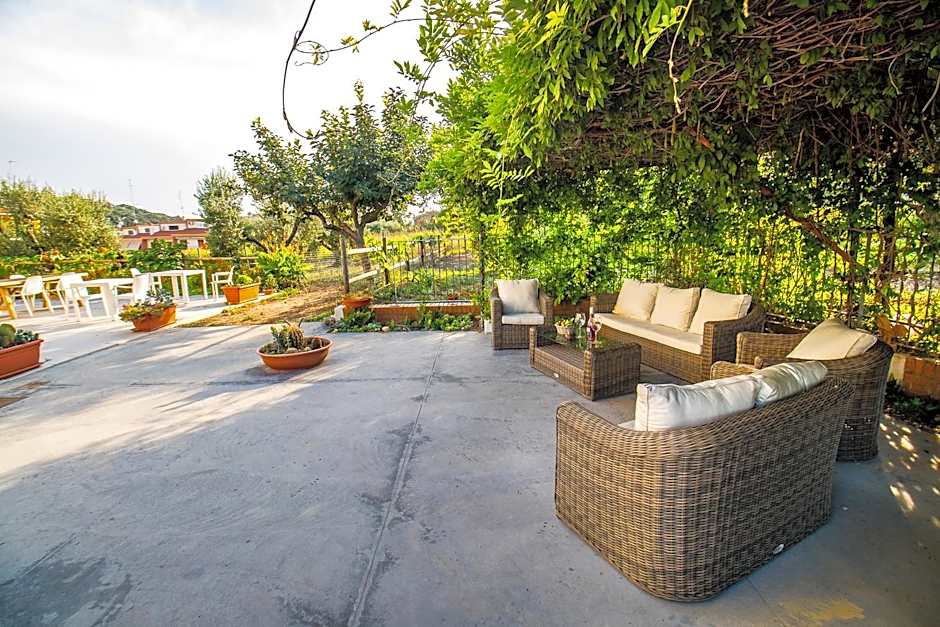 Il Gallo Con Gli Stivali