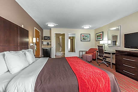 Standard Room, 1 King Bed, Non Smoking