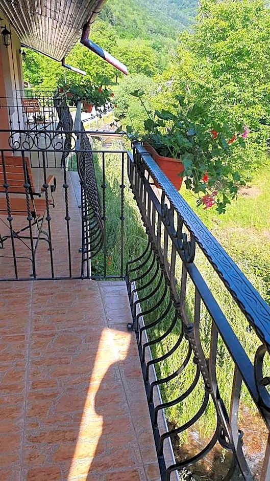 Pensiunea Mirela Peștera Urșilor