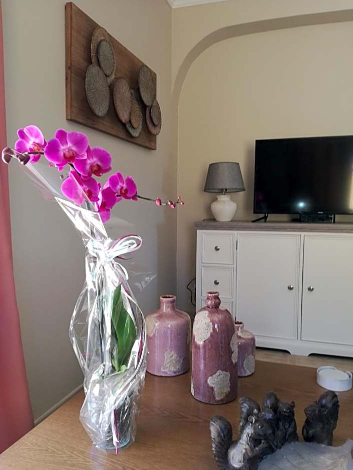 Casa da Falfeira B&B