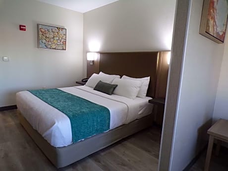 SUITE-1 KING BED,NSMK,PILLOWTOP,MICRFG,WETBAR,HISPEED NET,FULL BREAKFAST