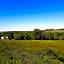 Aux Tuileries Nord b&b