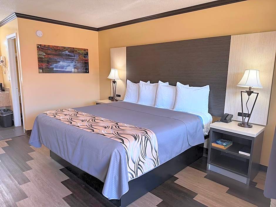 Regency 7 Motel