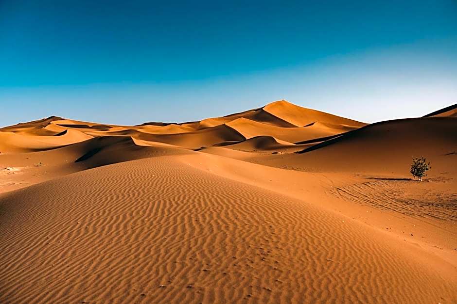 Mhamid Sahara Camp Activities - Le Chant du Sable