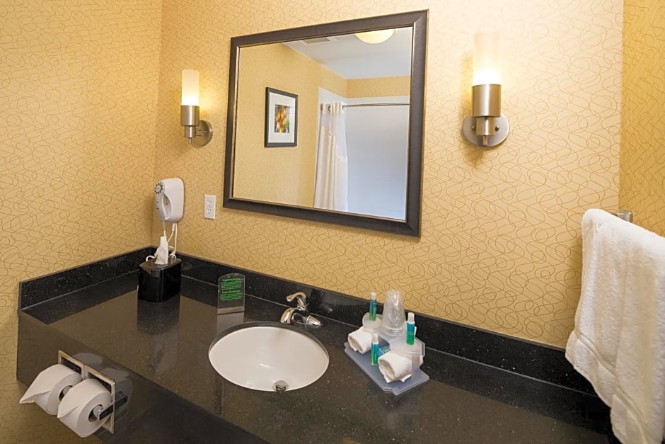 Holiday Inn Express And Suites Detroit North-Troy