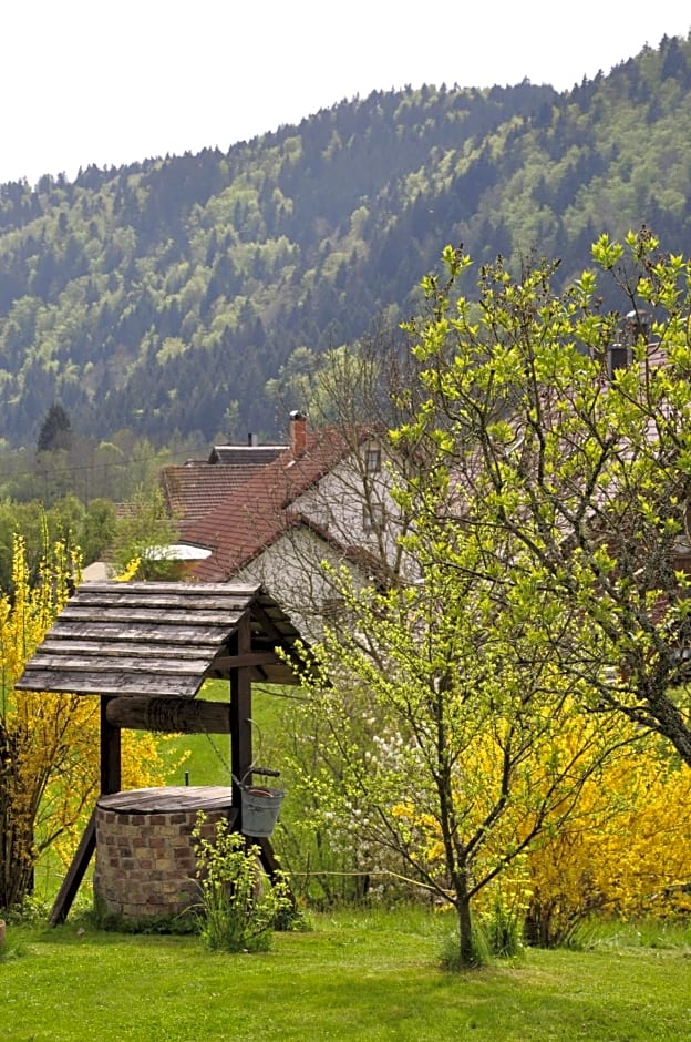 Pension Gasthaus Zur Schmiede