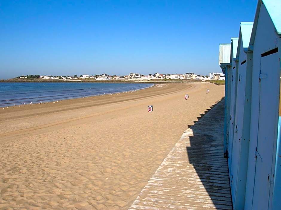 TERNELIA Le Vent Du Large