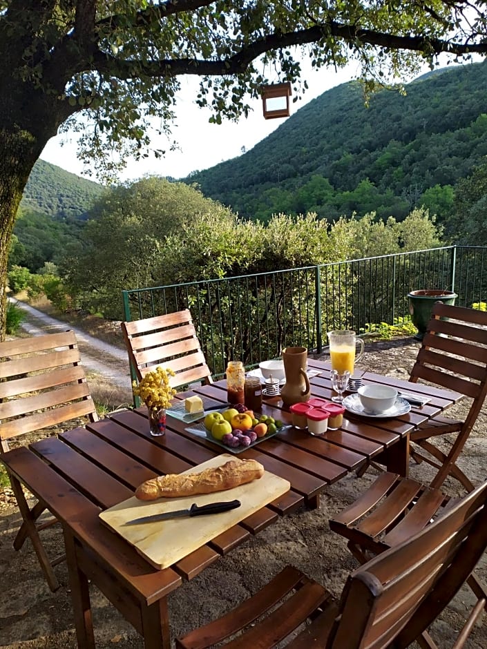 Chambre Cévennes: Piscine, lamas, rivière