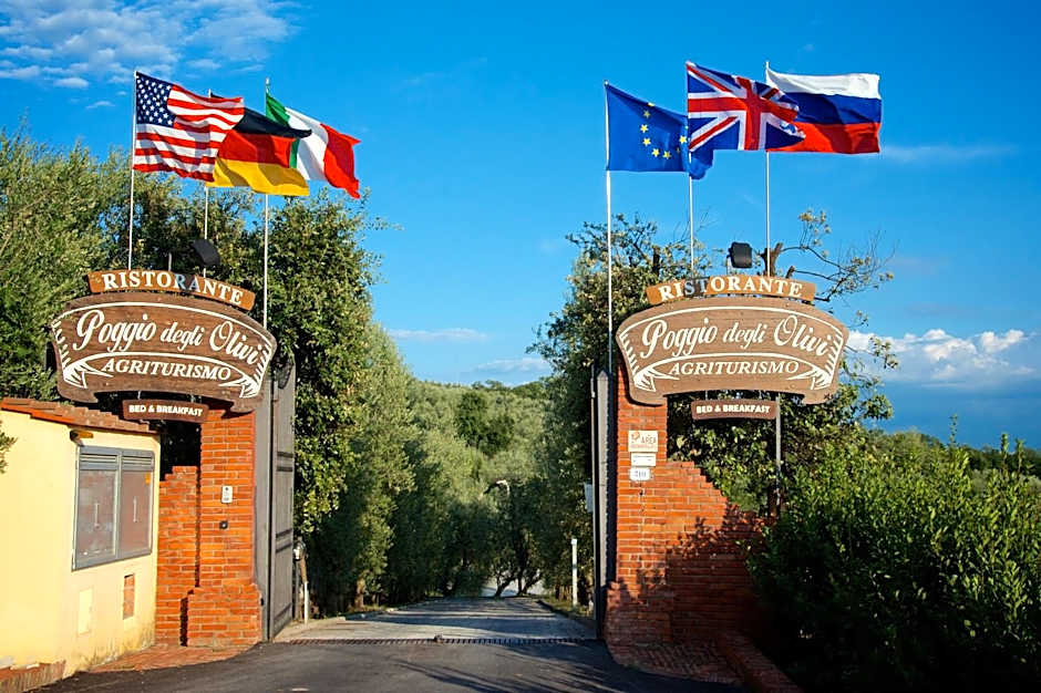 Poggio Degli Olivi