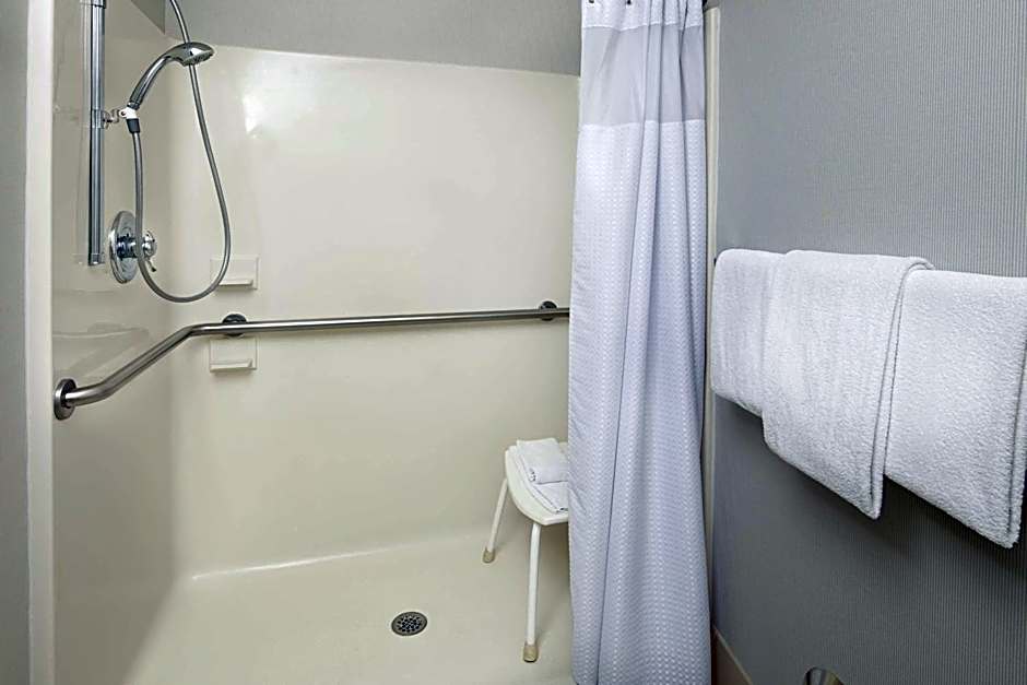 Courtyard by Marriott Detroit Brighton