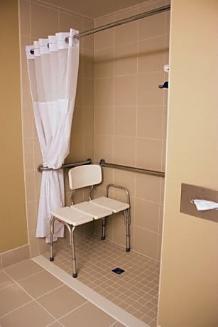 King Room with Roll-in Shower