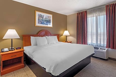 1 King Bed, Suite, Nonsmoking
