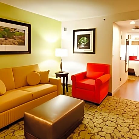1 King Bed Studio Suite