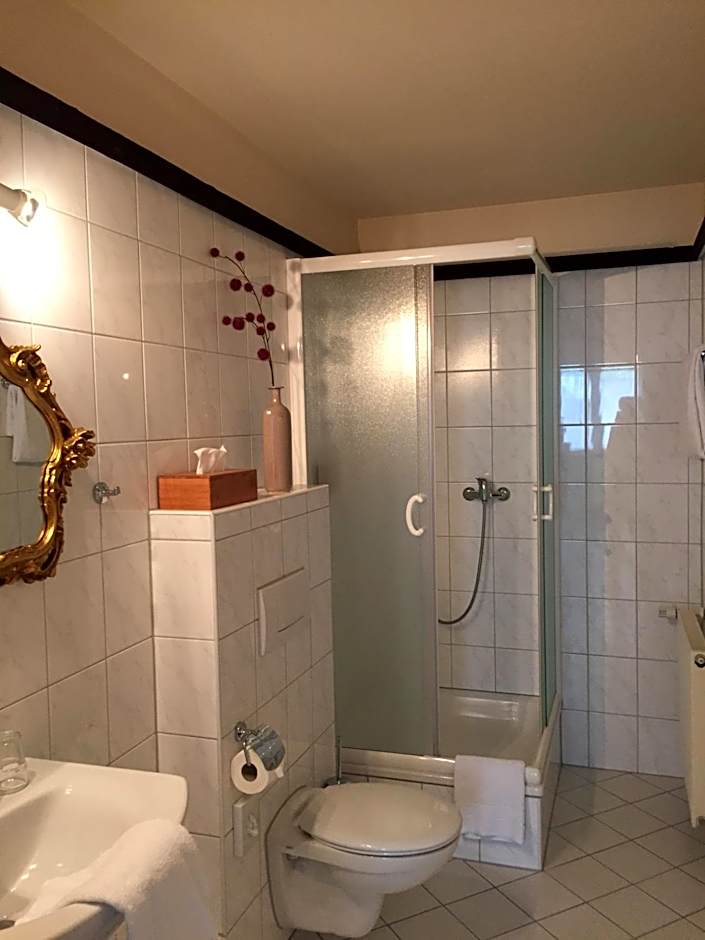 Best Western Hotel Mainz