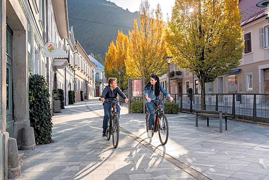 Dvorec Trebnik - SOBE