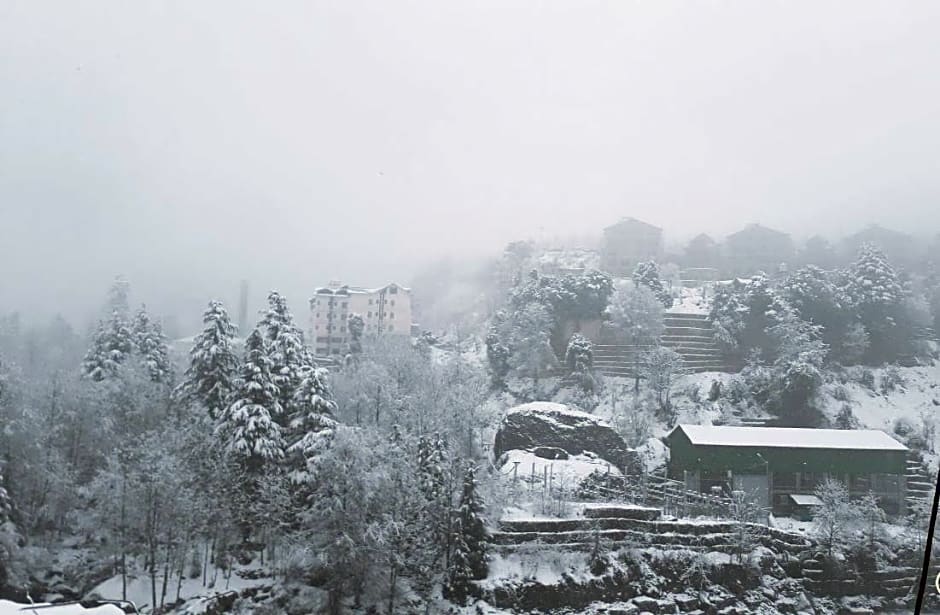 Hotel Sitara International