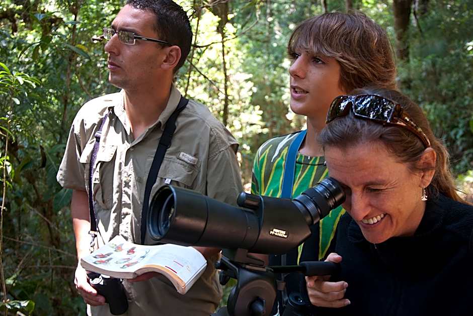 Dantica Cloud Forest Lodge