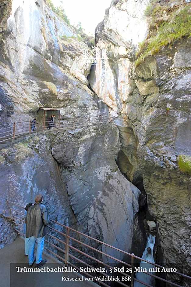 Hotel Waldblick