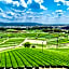 Greenpia Yame