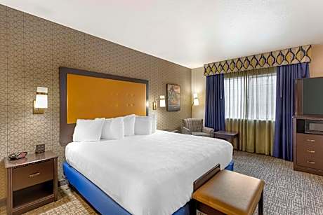 1 King Bed, Non-Smoking, Wireless High-Speed Internet, Microwave, Refrigerator, Sofabed, Executive R
