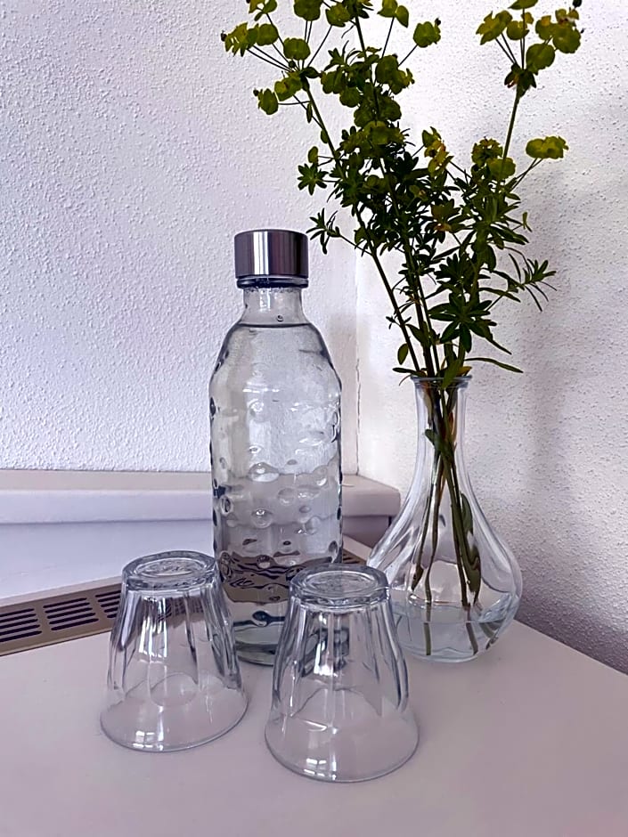 Boutique Guesthouse Das WOHLGEMUTH HEIM Mosel Weingut