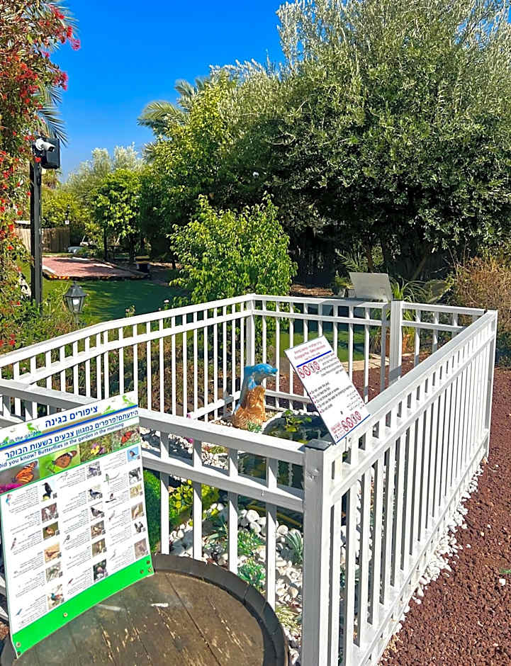 Magical in the Galilee