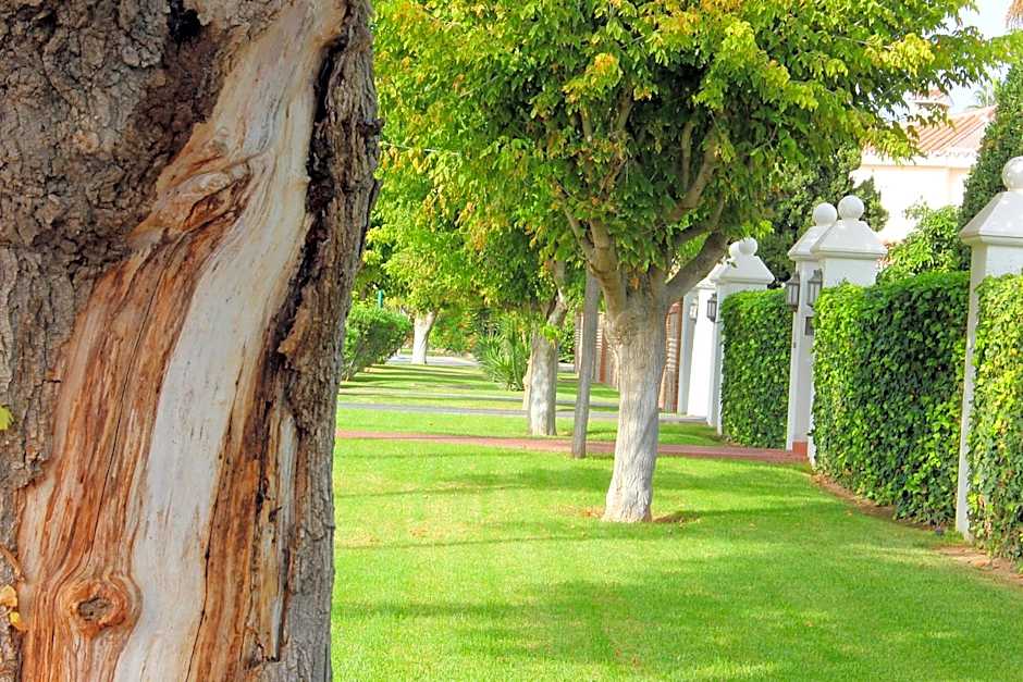 Hotel Malaga Picasso